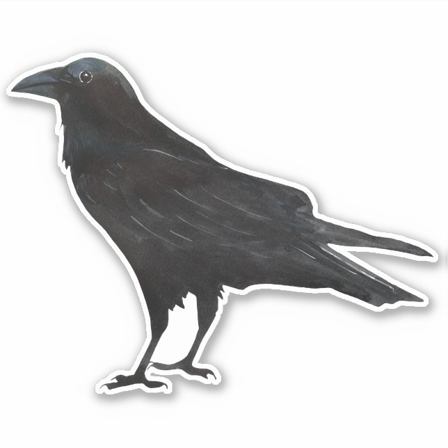 Black Bird Crow (Front)