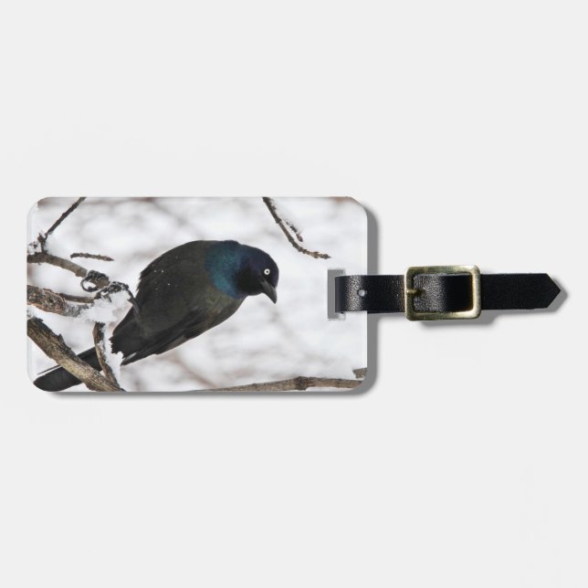 Black Bird Luggage Tag (Front Horizontal)