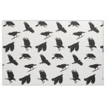 Black Bird or Crow maybe Raven