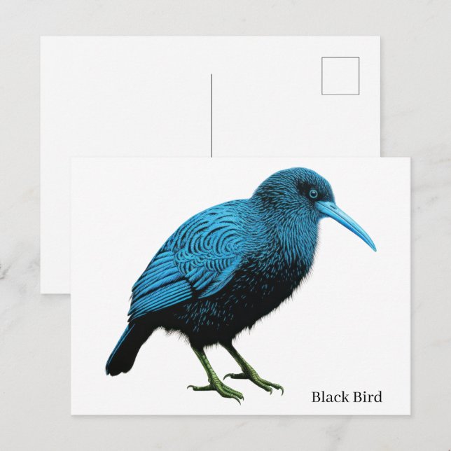 Black Bird    Postcard (Front/Back)
