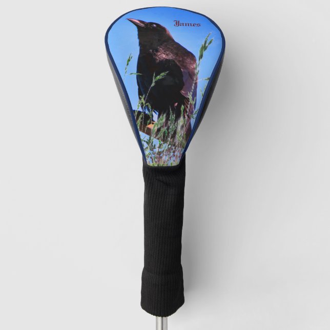 Black Bird - Raven  Golf Head Cover (Front)