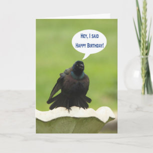 Black bird screaming Happy Birthday for a friend Card