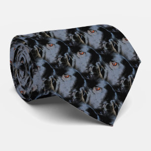 Black Border Collie Dog Face Animal Art Pattern Tie
