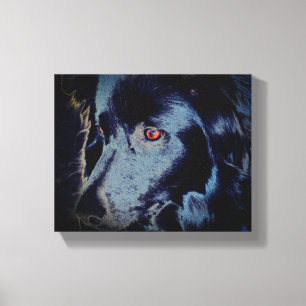 Black Border Collie Dog Face Canvas Print
