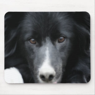 Black Border Collie Face Dog Mouse Pad