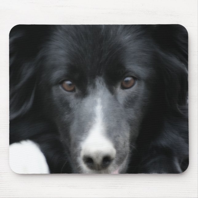 Black Border Collie Face Dog Mouse Pad (Front)
