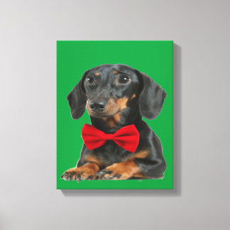 Black Border Collie Puppy Canvas Print