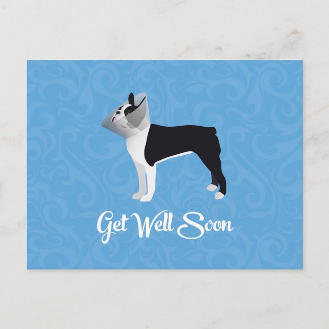 Black Boston Terrier Get Well Soon Funny Dog Postcard (Front)