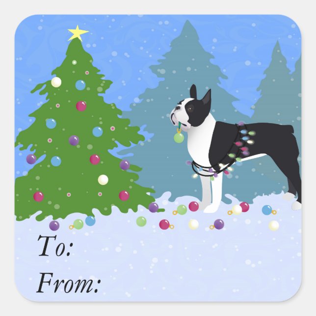 Black Boston Terrier in Christmas Forest Square Sticker (Front)