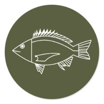 Black Bream Fish in White on Khaki Green