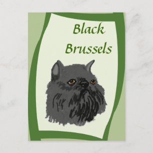 Black Brussels Griffon Postcard