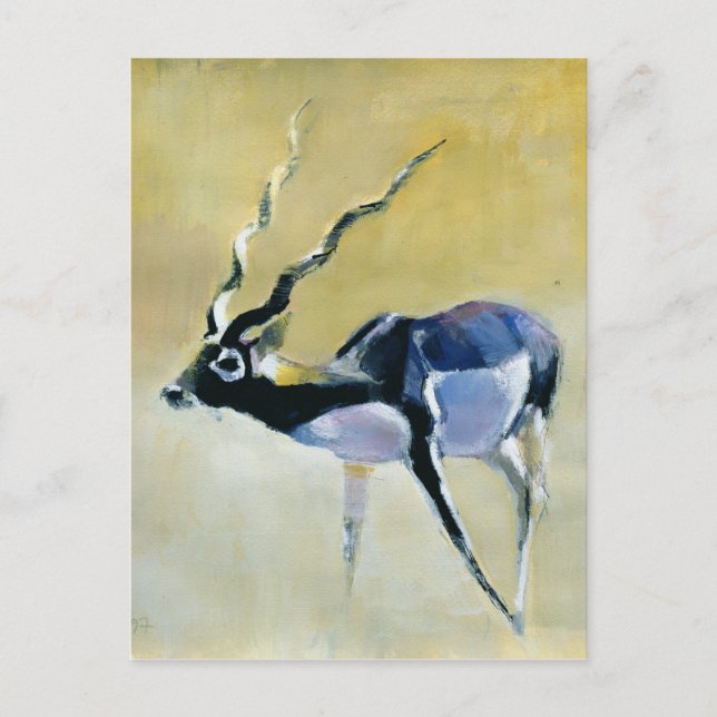 Black Buck Velavadar 1997 Postcard (Front)