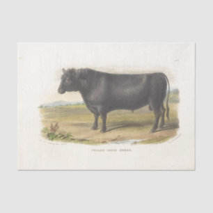 Black Bull Cow Ephemera Decoupage Vintage Farm Tissue Paper