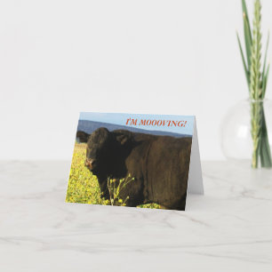 Black Bull in Flowers - Western Change of Address Announcement