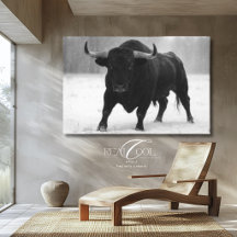 Black Bull in Snow Western Farm Scene Canvas Print