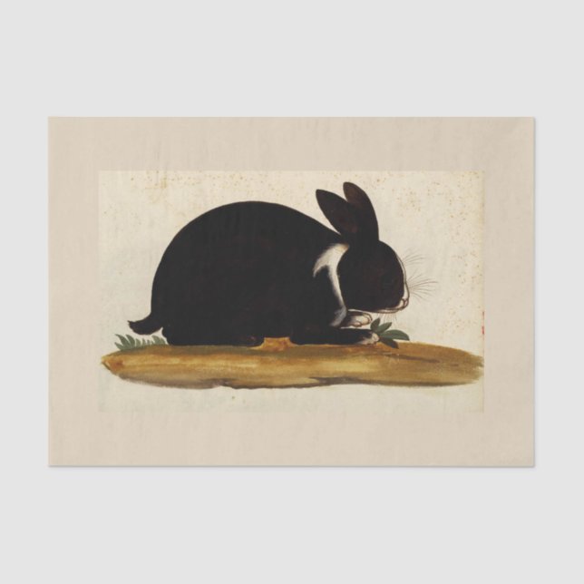 BLACK BUNNY RABBIT Custom 10lb Tissue Paper, White Tissue Paper (Front)