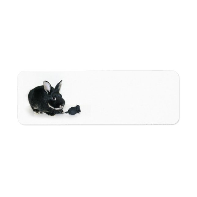 Black Bunny rose (Front)