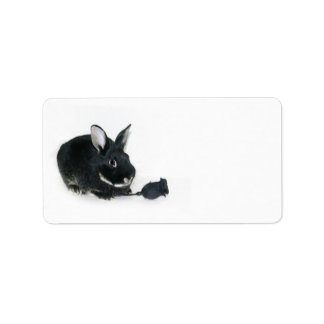 Black Bunny rose Label
