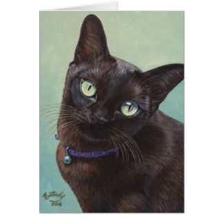 Black Burmese Cat Moose
