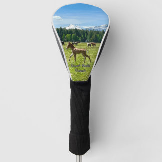 Black Butte Driver Cover