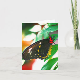 Black Butterfly Nature Customizable Note Card