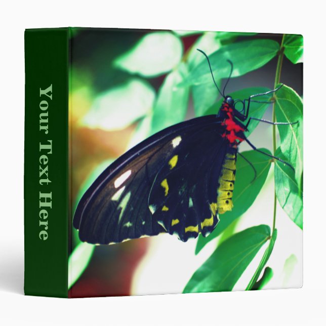 Black Butterfly Nature Personalized Binder (Front/Spine)