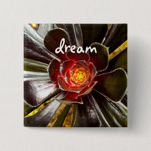 Black Cactus Photo Dream Quote Script Bold Modern 2 Inch Square Button