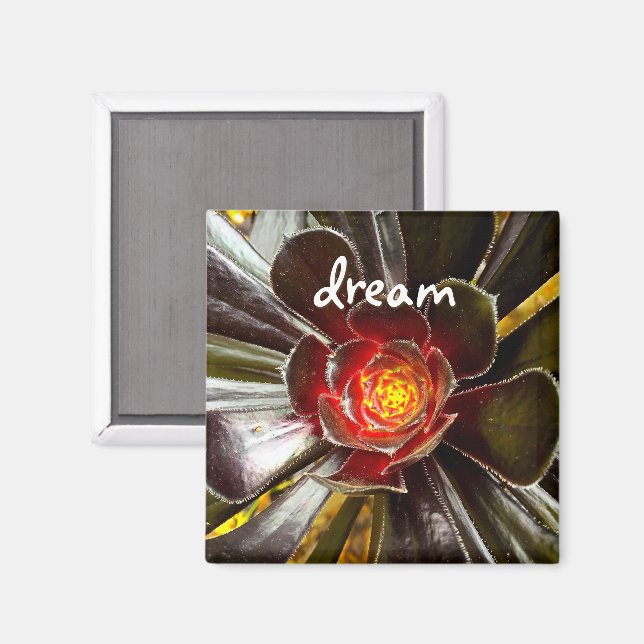 Black Cactus Photo Dream Quote Script Modern Bold Magnet (Front/Back)