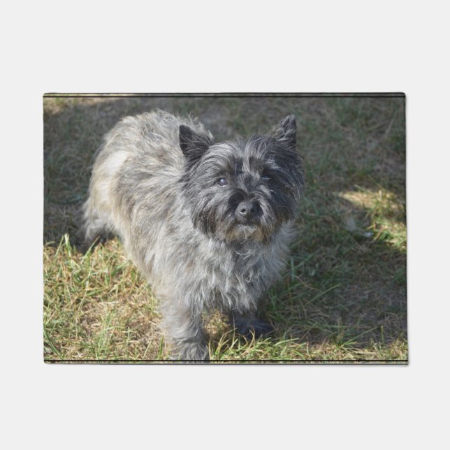 Black Cairn Terrier Doormat (Front)