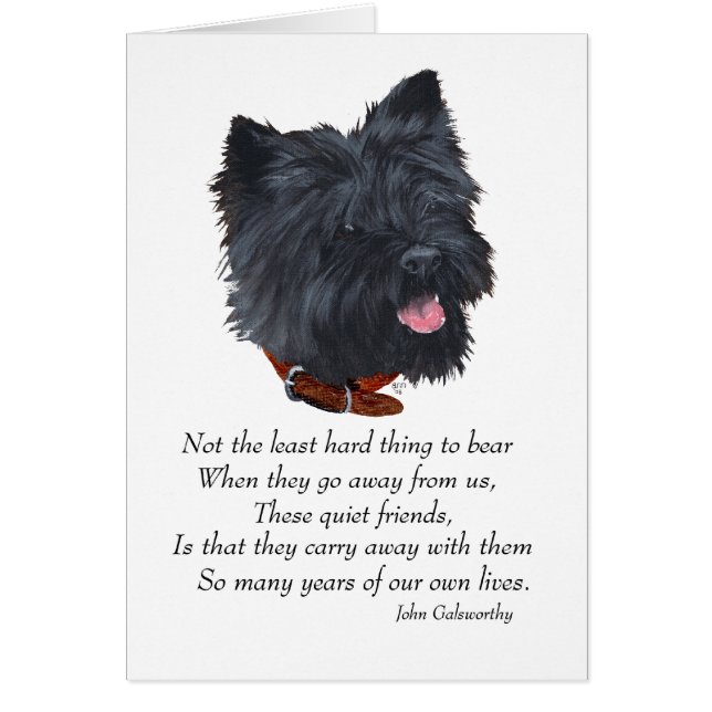 Black Cairn Terrier Rainbow Bridge (Front)