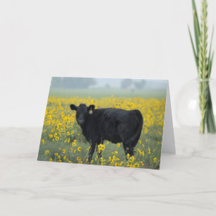 Black Calf in a Field of Sunflowers Card