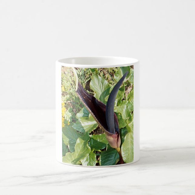 Black Calla Lilly Mug (Center)