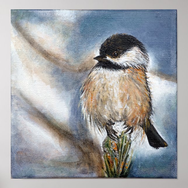 Black Capped Chickadee Art Print (Front)