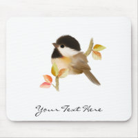 Black-Capped Chickadee Bird
