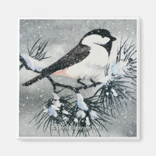 Black Capped Chickadee Bird Square Magnet
