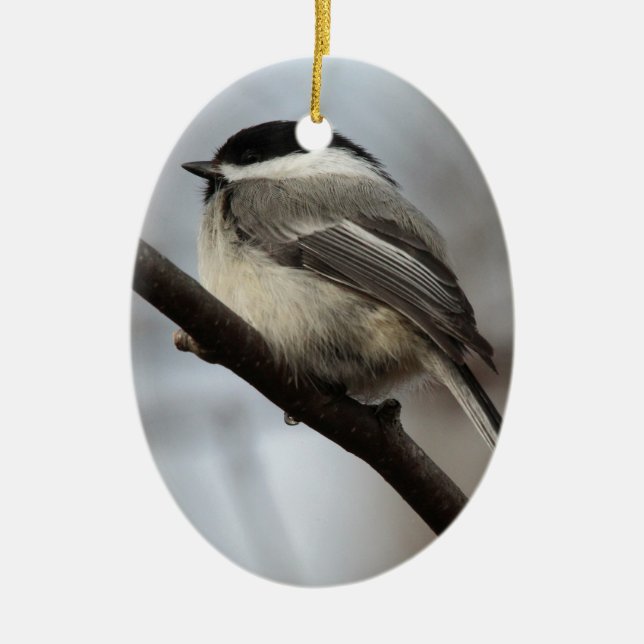 Black Capped Chickadee Ceramic Ornament (Front)