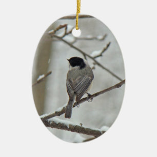 Black Capped Chickadee Christmas Ornament