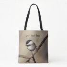 Black-capped chickadee