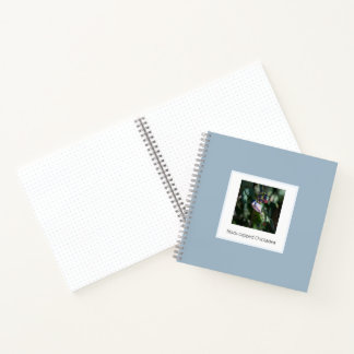 Black-capped Chickadee – Fine Art Photography Notebook