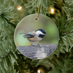 Black-capped Chickadee Holiday Gift Ceramic Ornament