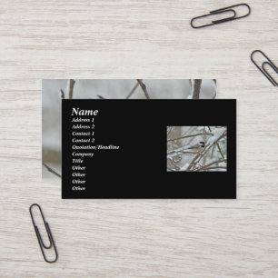Black-Capped Chickadee in Snow Business Card