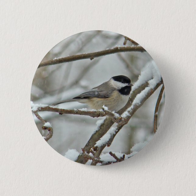 Black-Capped Chickadee in Snow Storm 2 Inch Round Button (Front)