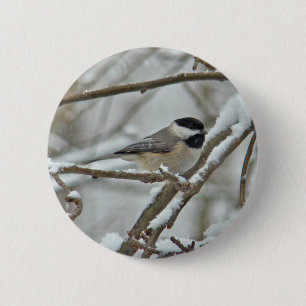 Black-Capped Chickadee in Snow Storm 2 Inch Round Button