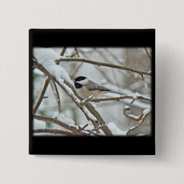 Black-Capped Chickadee in Snow Storm 2 Inch Square Button (Front)