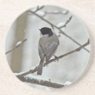 Black-Capped Chickadee in Snow Storm Coaster