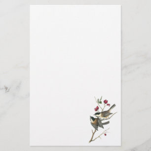 Black-capped Chickadee, John Audubon Stationery