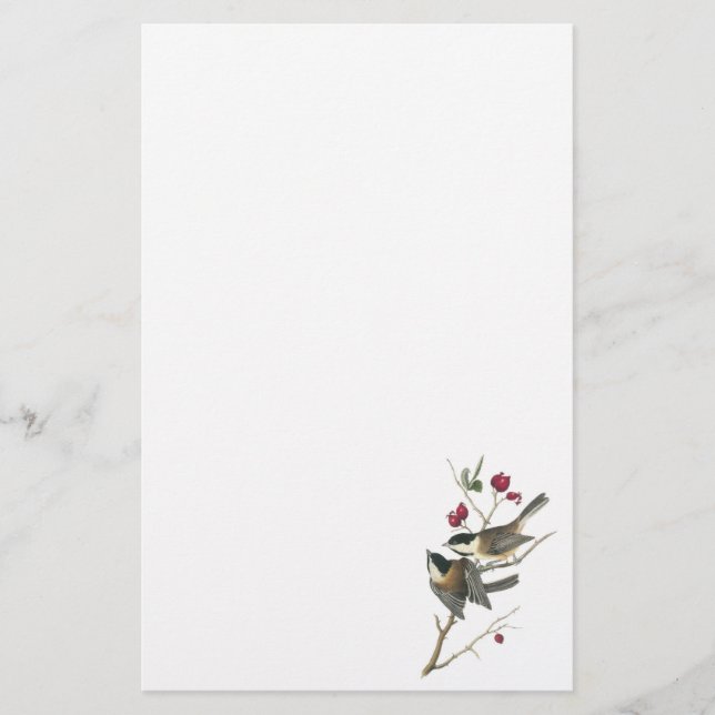 Black-capped Chickadee, John Audubon Stationery (Front)