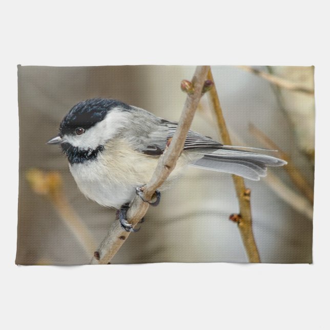 Black Capped Chickadee Kitchen Towel (Horizontal)