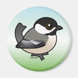 Black-capped Chickadee Magnet