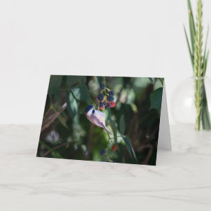 Black-capped Chickadee Merry Christmas Card